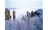 春節(jié)旅游：張家界、袁家界、天子山、寶峰湖/黃龍洞度假二晚三日游